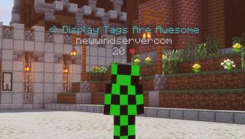 Display Tags