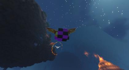 Elytra Race